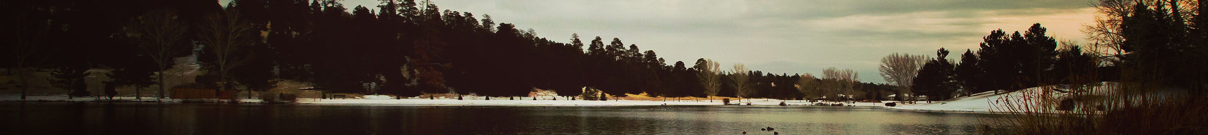 Header Box Background