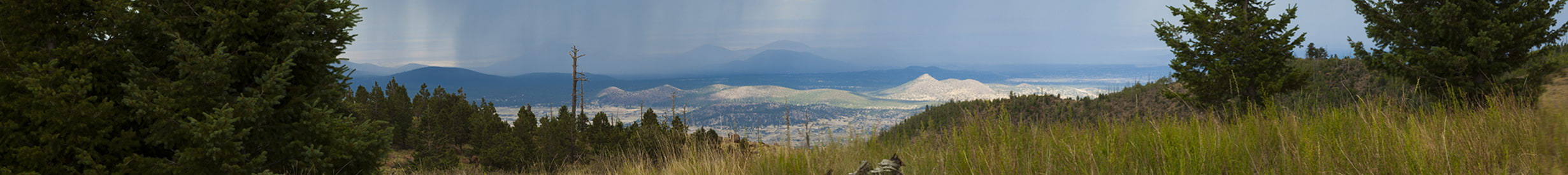 Header Box Background