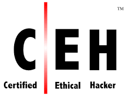 Certified Ethic Hacker Logo