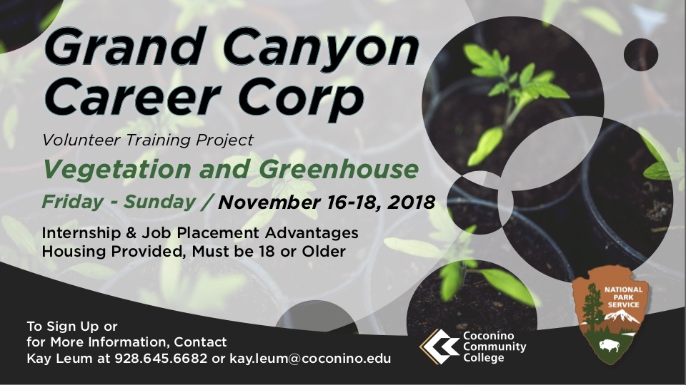 11.16.18-GC-Career-Corp-November