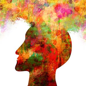 brain