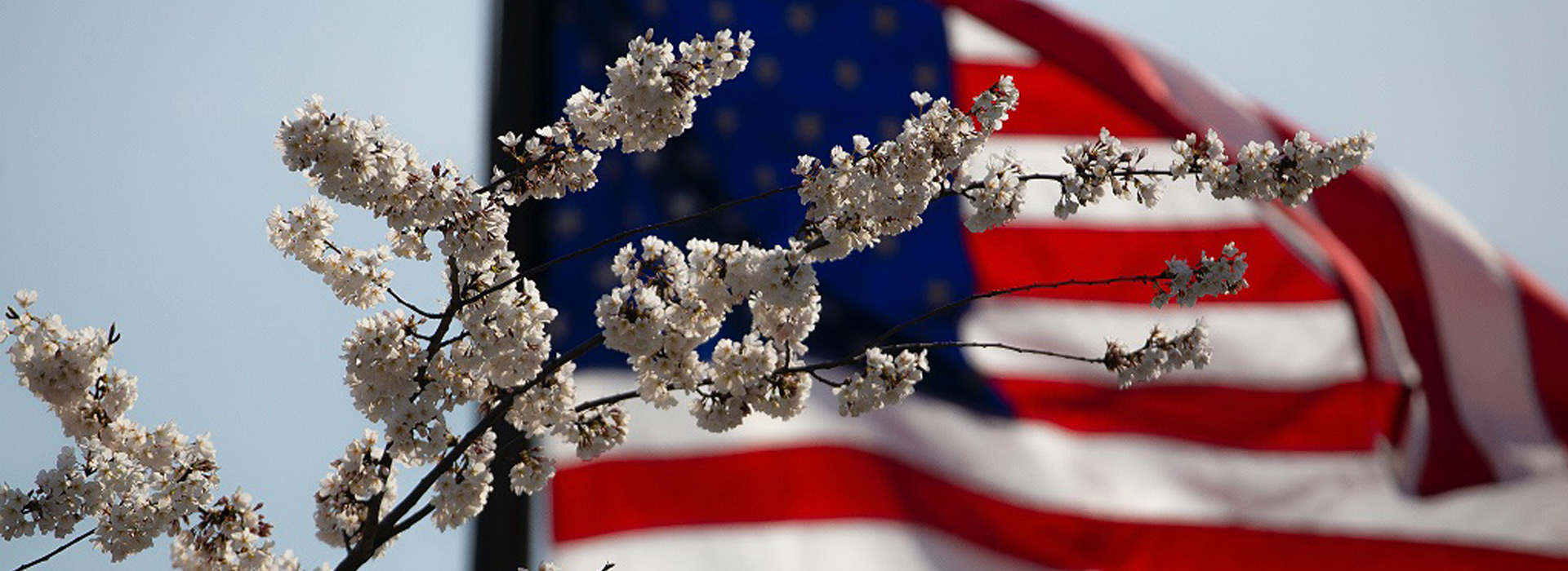 Veteran's Day - Flag Photograph